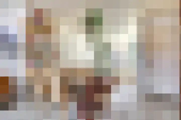 Rijshoutstraat 4 Sliedrecht thumbnail 6
