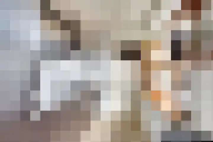 Rijshoutstraat 4 Sliedrecht thumbnail 7
