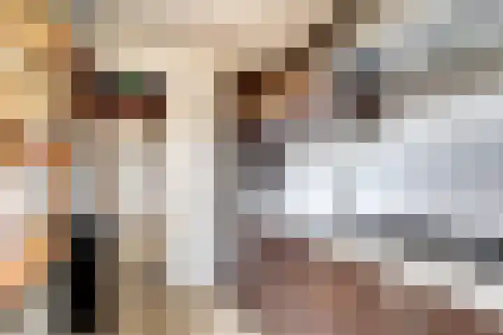 Rijshoutstraat 4 Sliedrecht thumbnail 8