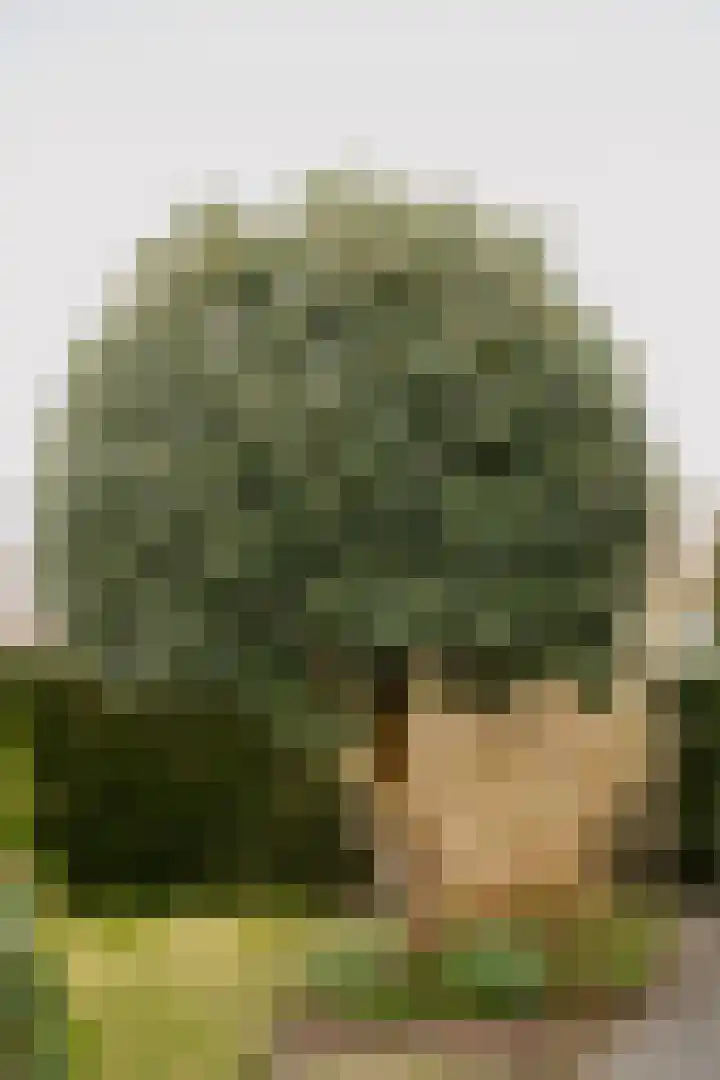 Rijskade 8 Meerkerk thumbnail 35