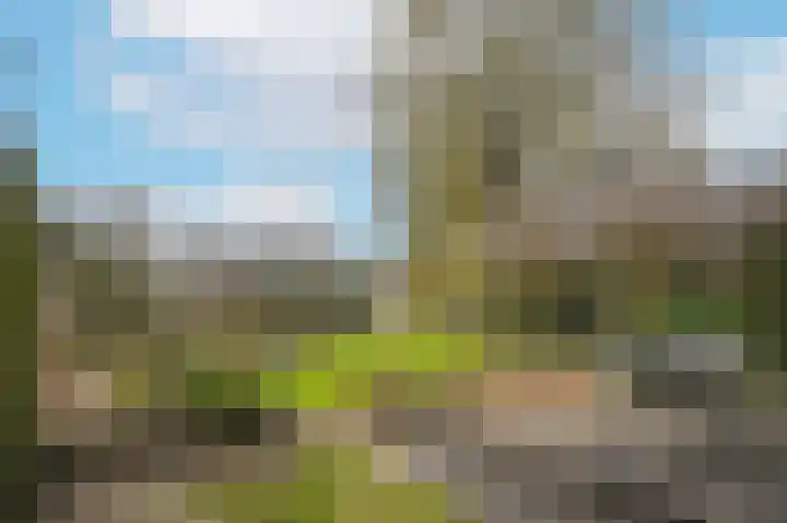 Rijskade 8 Meerkerk thumbnail 36