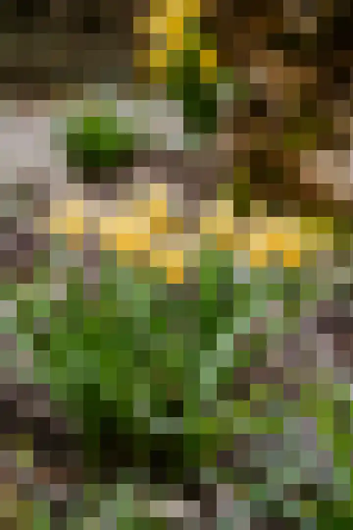 Rijskade 8 Meerkerk thumbnail 37