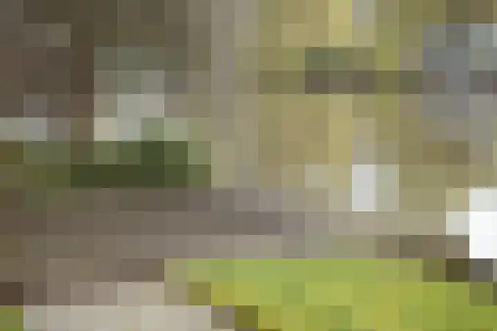 Rijskade 8 Meerkerk thumbnail 40