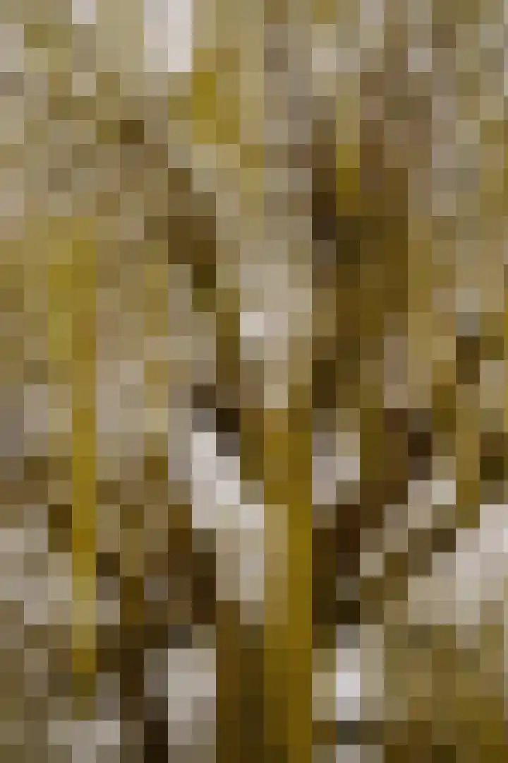 Rijskade 8 Meerkerk thumbnail 42
