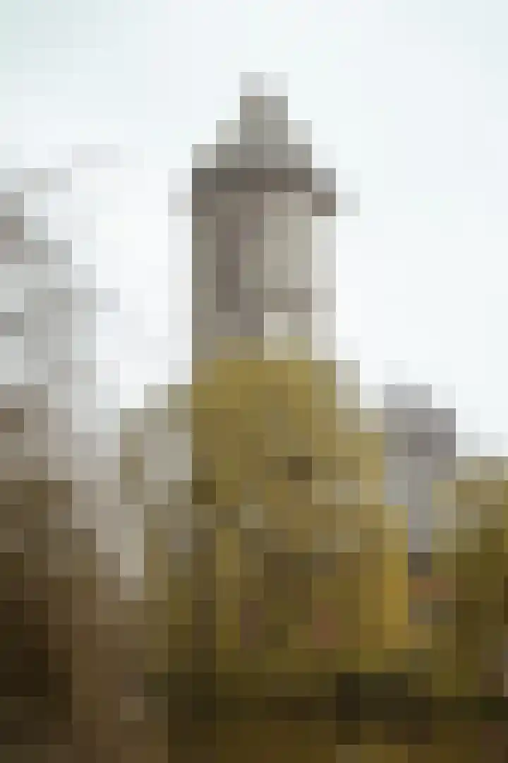 Rijskade 8 Meerkerk thumbnail 44