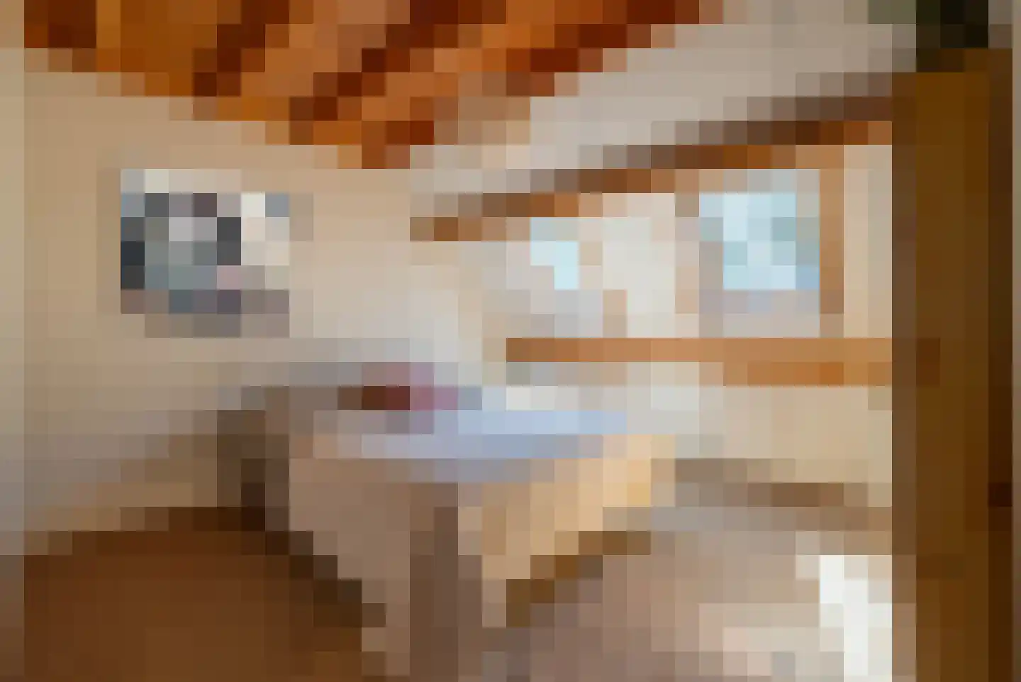 Rijskadeveld 11 Meerkerk thumbnail 21