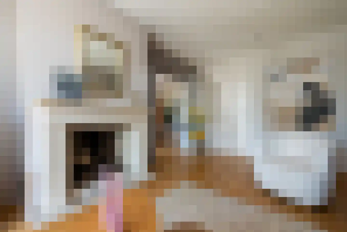 Rijskadeveld 11 Meerkerk thumbnail 7