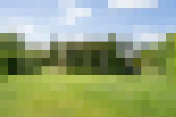 Rijskadeveld 2 Meerkerk