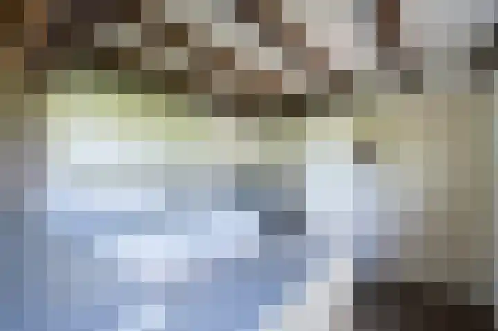Rijskadeveld 2 Meerkerk thumbnail 10