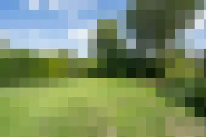 Rijskadeveld 2 Meerkerk thumbnail 23