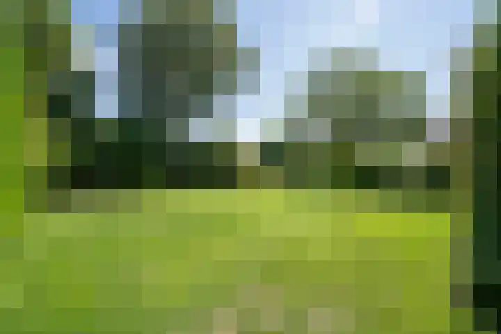 Rijskadeveld 2 Meerkerk thumbnail 24