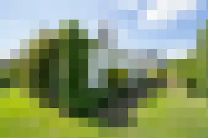 Rijskadeveld 2 Meerkerk thumbnail 25