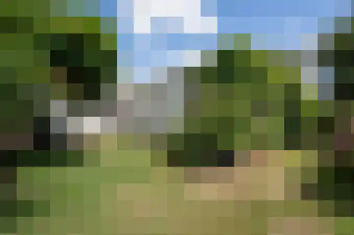 Rijskadeveld 2 Meerkerk thumbnail 27