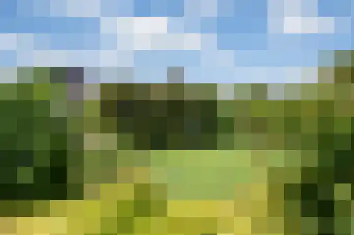 Rijskadeveld 2 Meerkerk thumbnail 28
