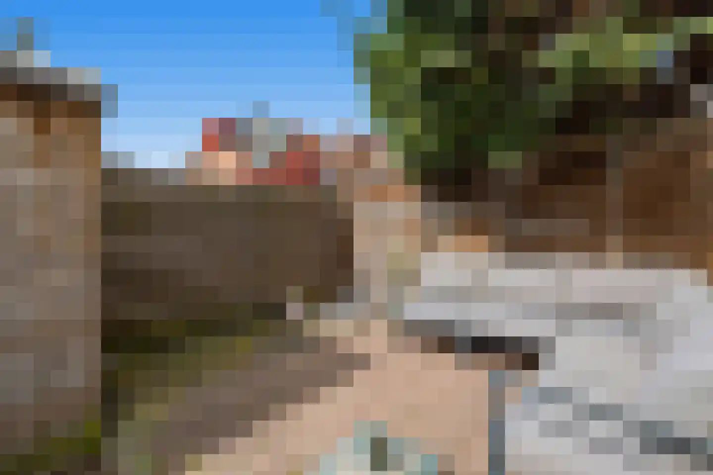 Rijskampenstraat 12 Groningen thumbnail 12