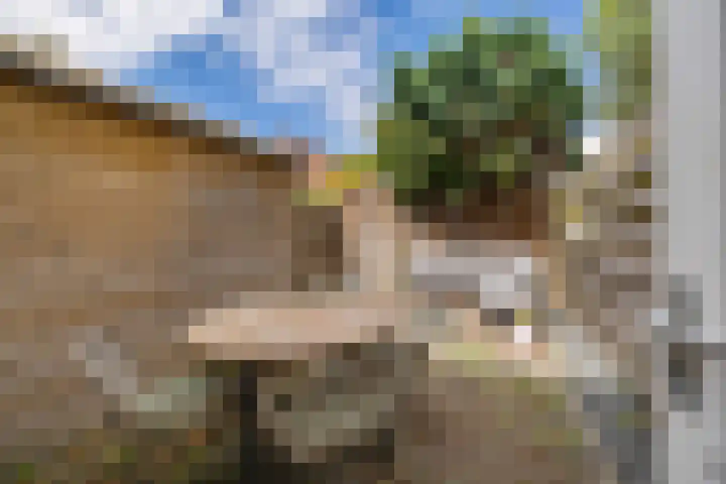 Rijskampenstraat 12 Groningen thumbnail 14