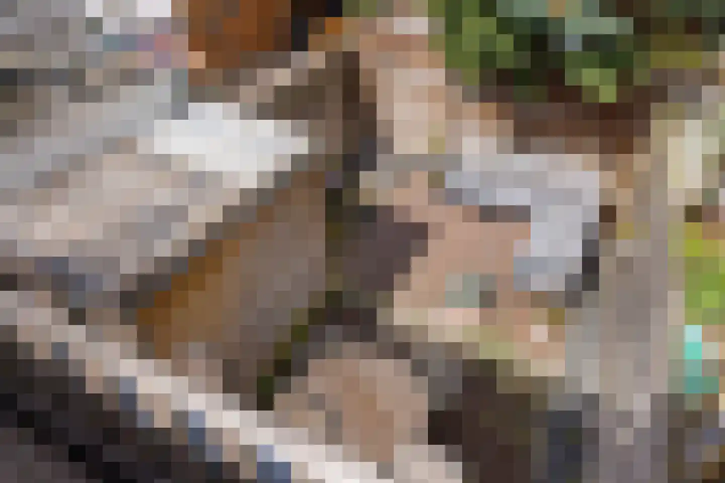 Rijskampenstraat 12 Groningen thumbnail 16