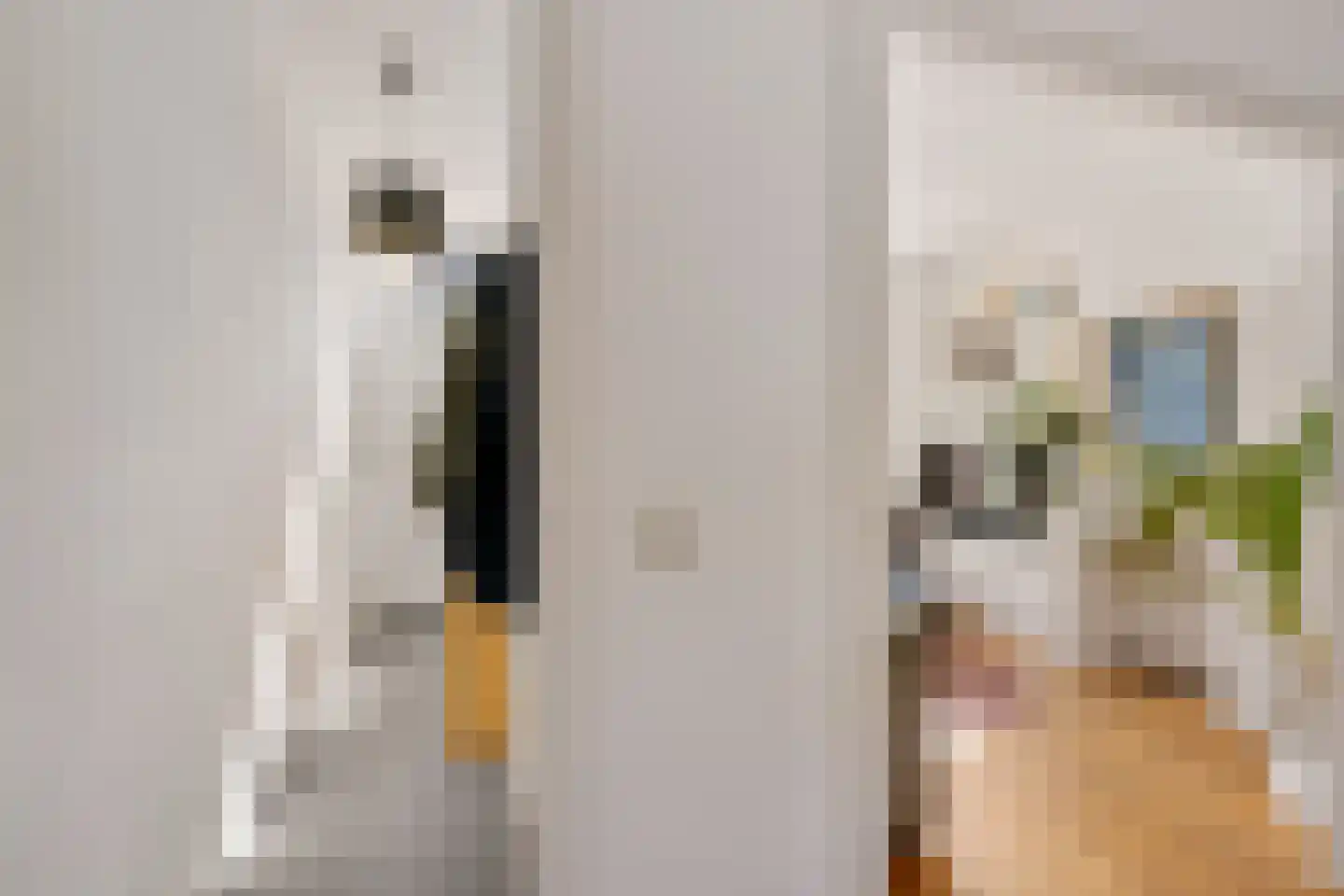 Rijskampenstraat 12 Groningen thumbnail 18