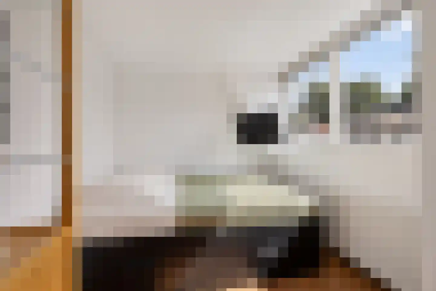 Rijskampenstraat 12 Groningen thumbnail 22