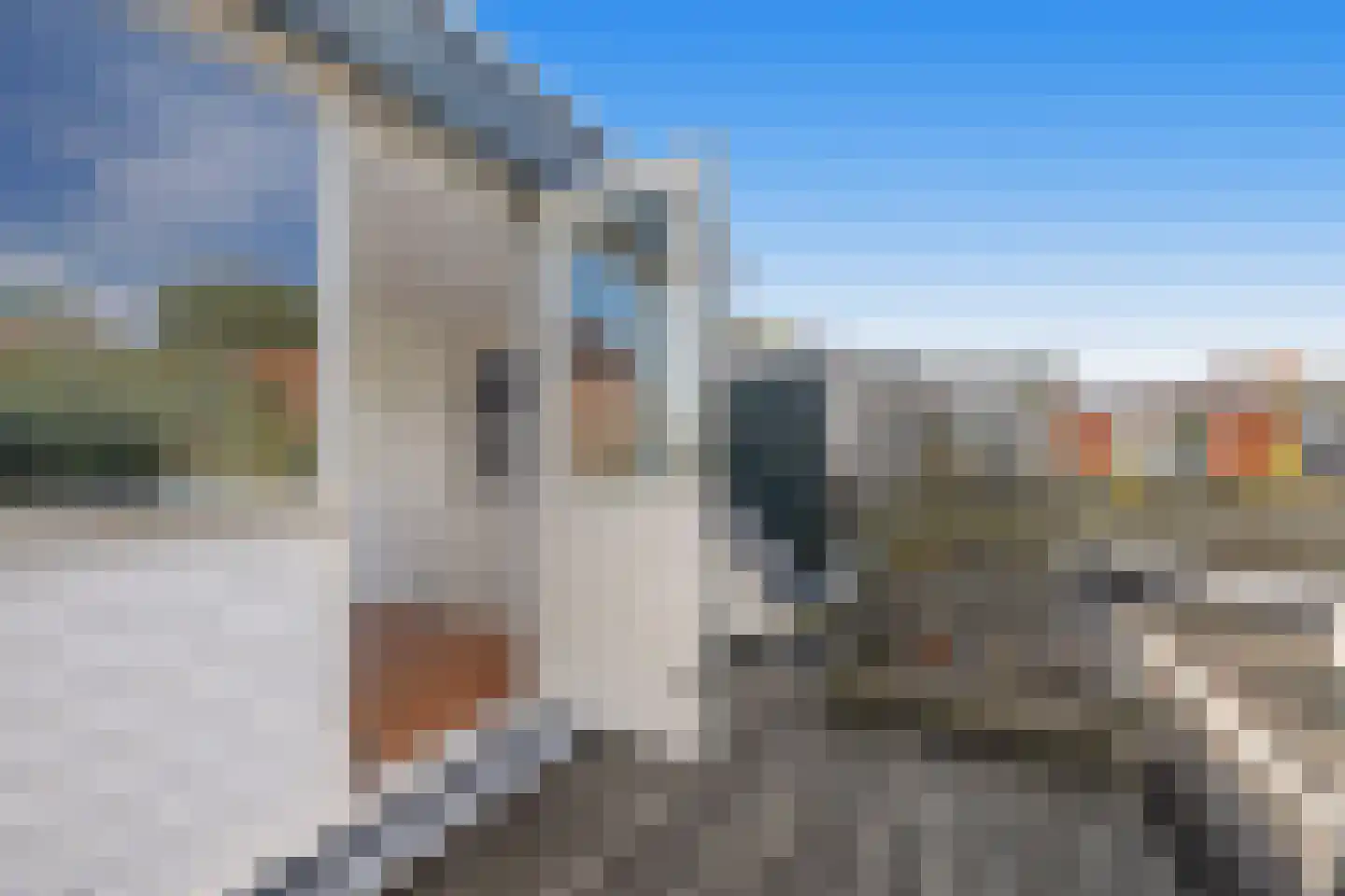 Rijskampenstraat 12 Groningen thumbnail 24