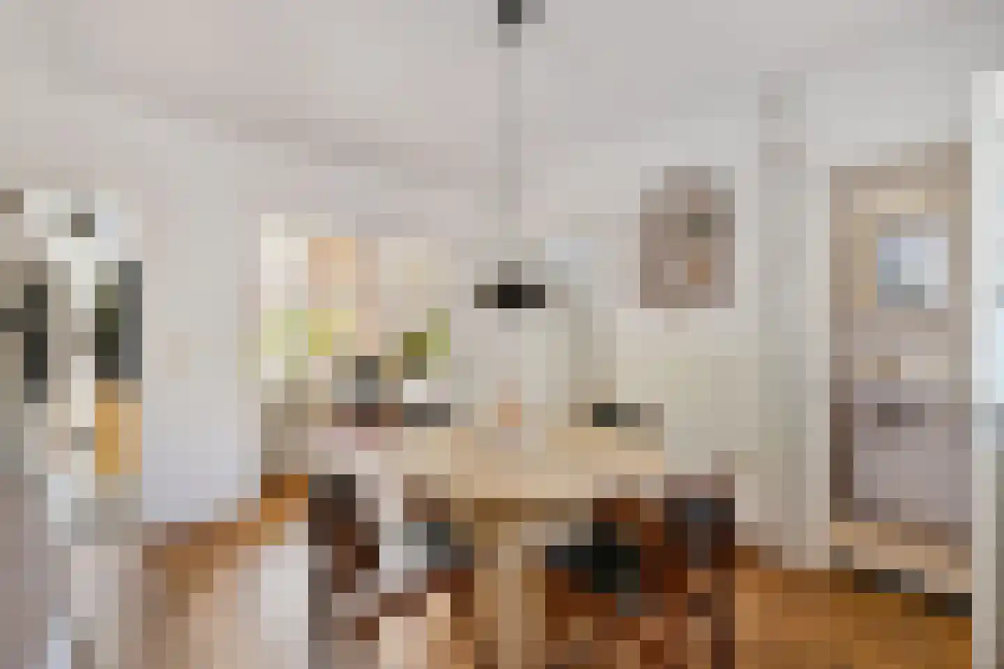 Rijskampenstraat 12 Groningen thumbnail 5