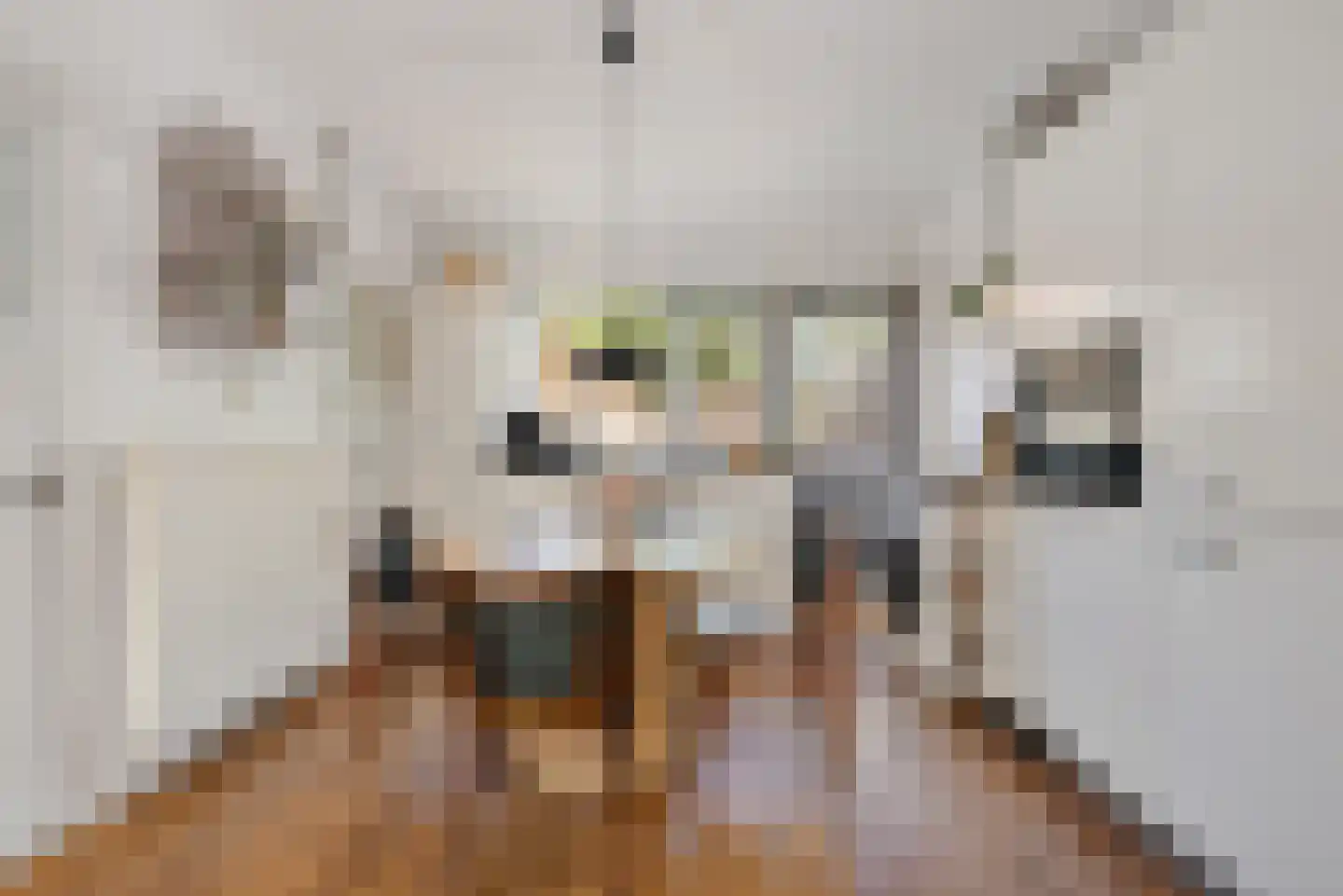 Rijskampenstraat 12 Groningen thumbnail 6