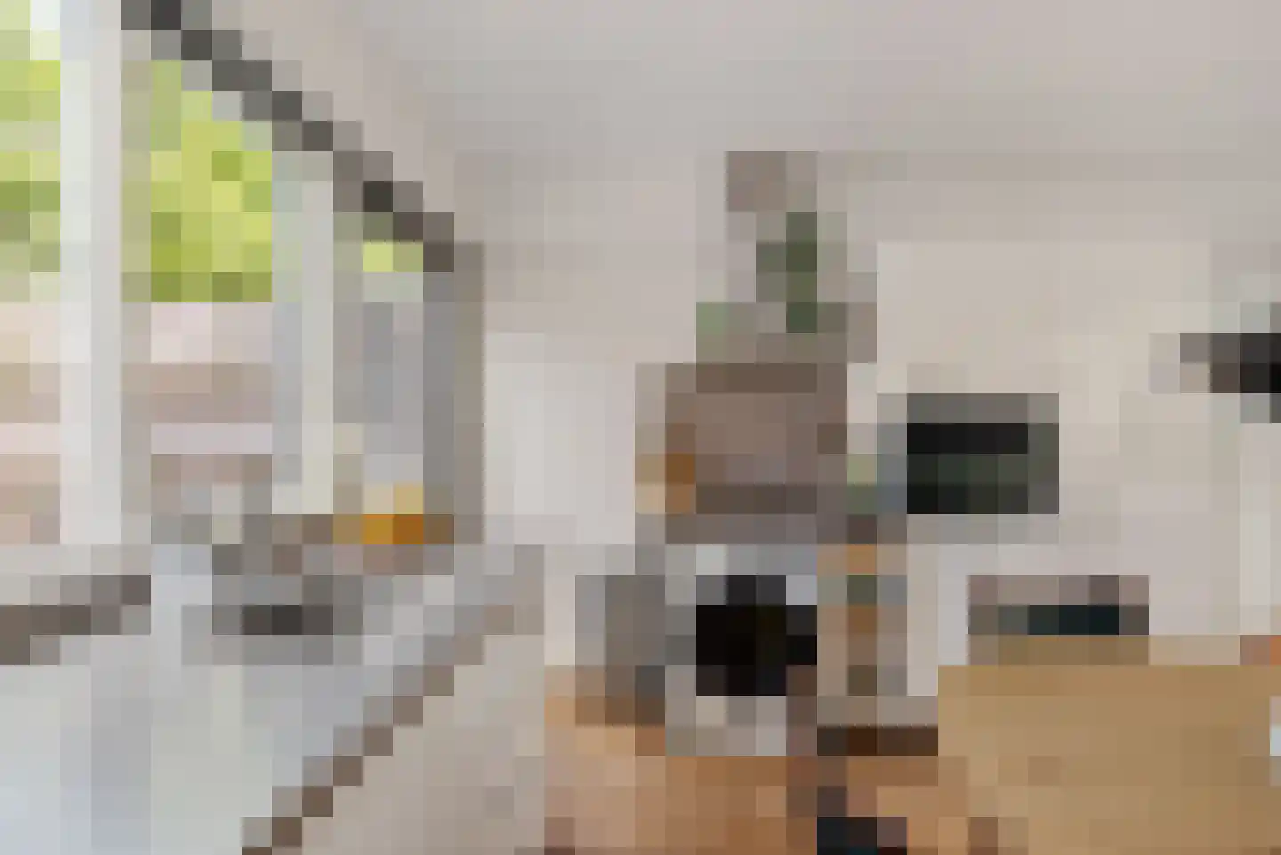 Rijskampenstraat 12 Groningen thumbnail 8