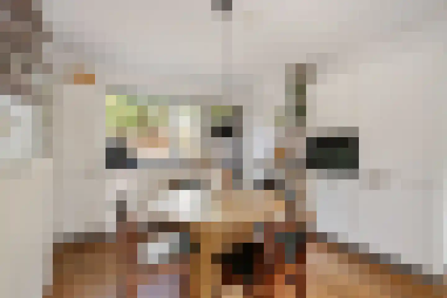 Rijskampenstraat 12 Groningen thumbnail 9