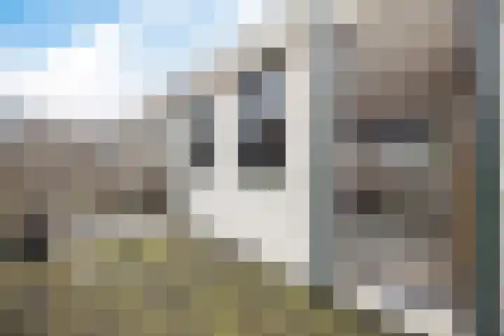 Rijskampenstraat 14 Groningen thumbnail 29