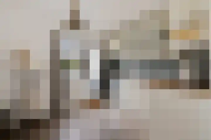 Rijskampenstraat 14 Groningen thumbnail 5
