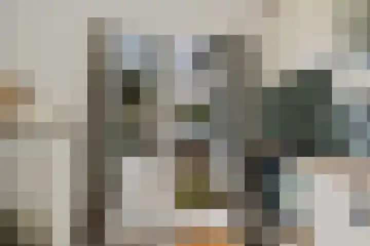 Rijskampenstraat 14 Groningen thumbnail 7