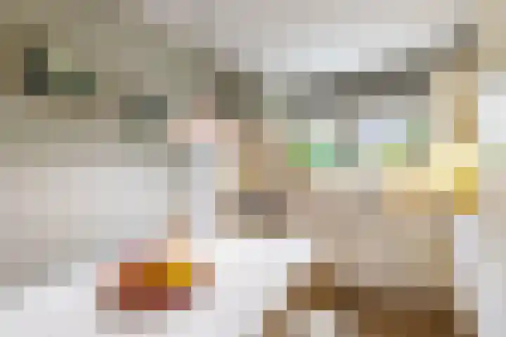 Rijskampenstraat 3 Groningen thumbnail 12