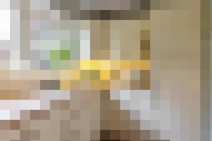 Rijskampenstraat 3 Groningen thumbnail 14