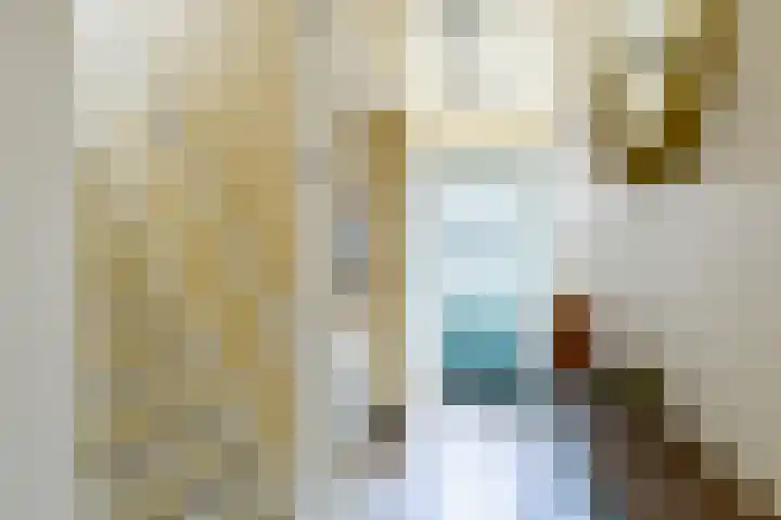 Rijskampenstraat 3 Groningen thumbnail 19