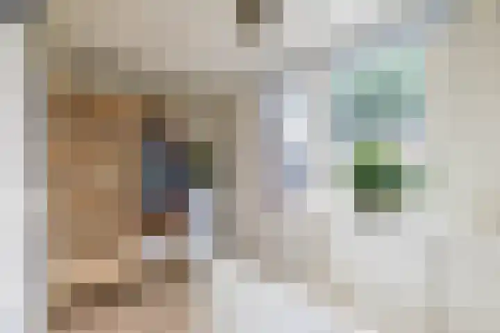 Rijskampenstraat 3 Groningen thumbnail 22