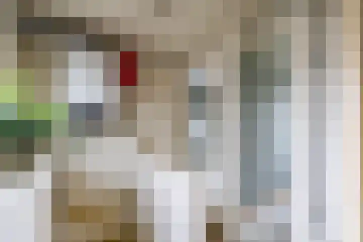 Rijskampenstraat 3 Groningen thumbnail 23