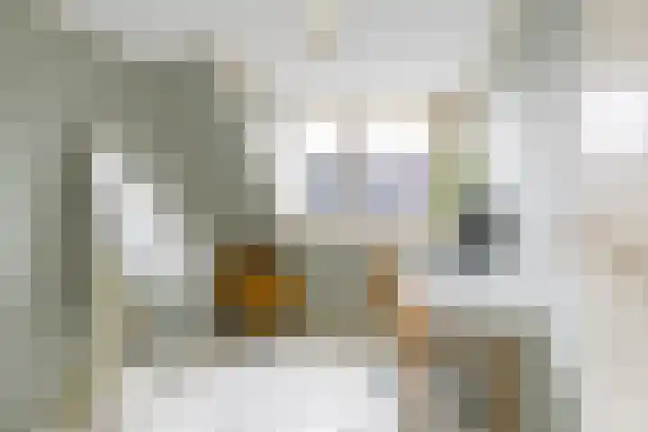 Rijskampenstraat 3 Groningen thumbnail 25