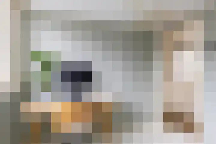 Rijskampenstraat 3 Groningen thumbnail 26