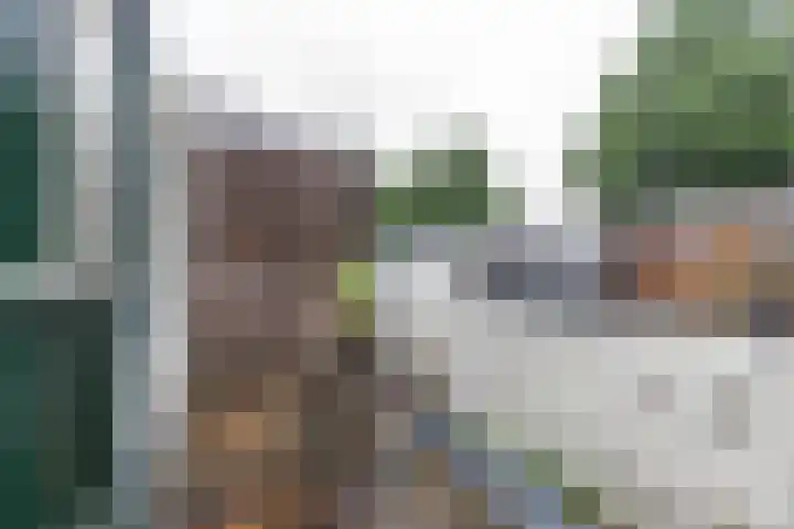 Rijskampenstraat 3 Groningen thumbnail 28