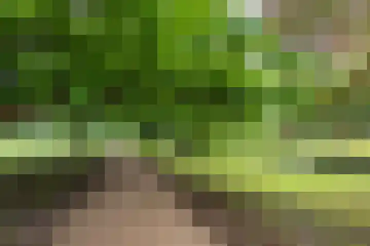 Rijskampenstraat 3 Groningen thumbnail 34