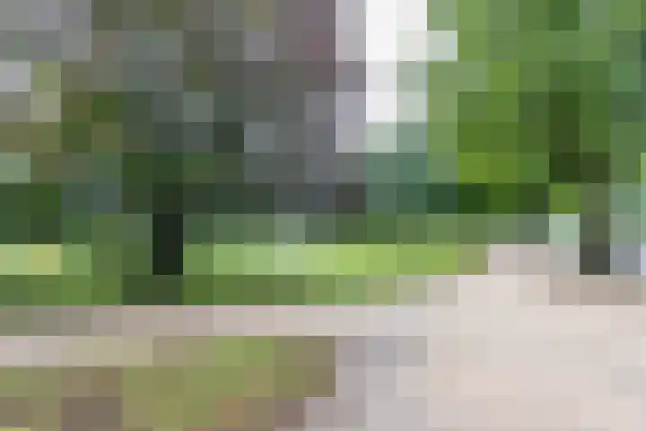 Rijskampenstraat 3 Groningen thumbnail 35