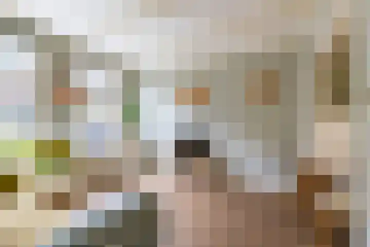 Rijskampenstraat 3 Groningen thumbnail 8