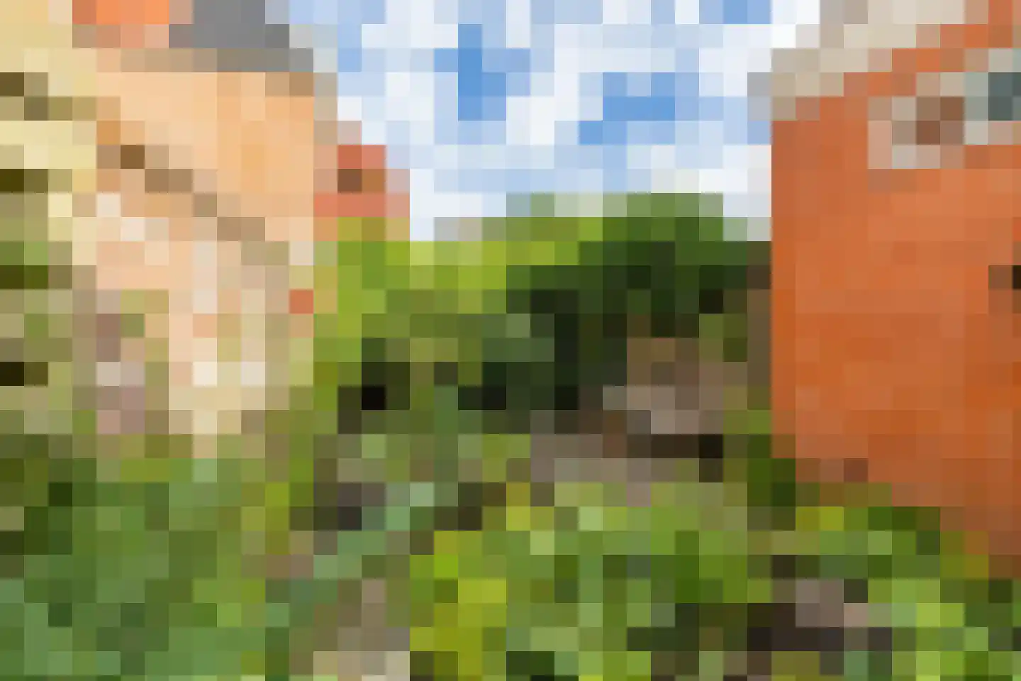 Rijskampenstraat 4 Groningen thumbnail 28