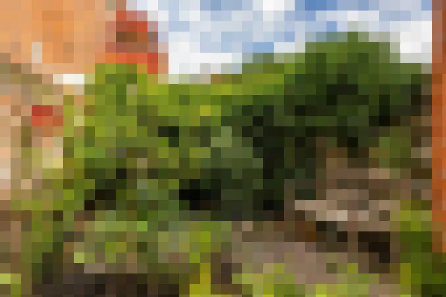 Rijskampenstraat 4 Groningen thumbnail 29