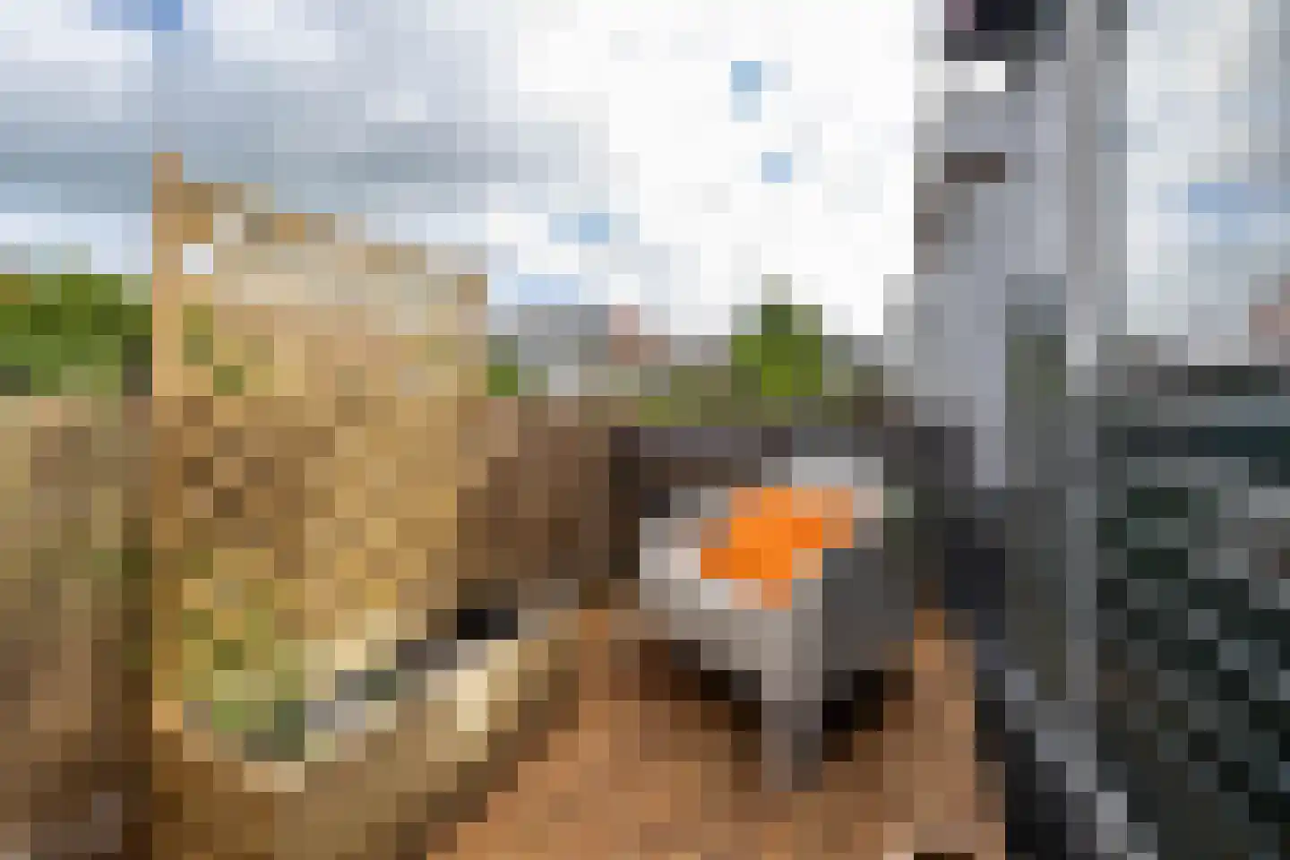 Rijskampenstraat 4 Groningen thumbnail 40
