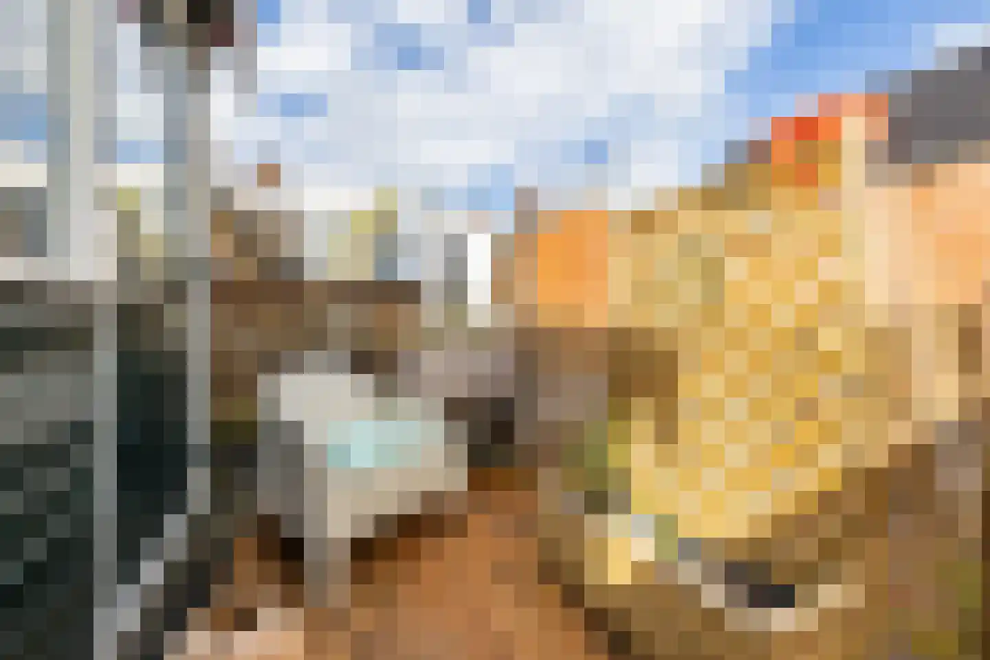Rijskampenstraat 4 Groningen thumbnail 41