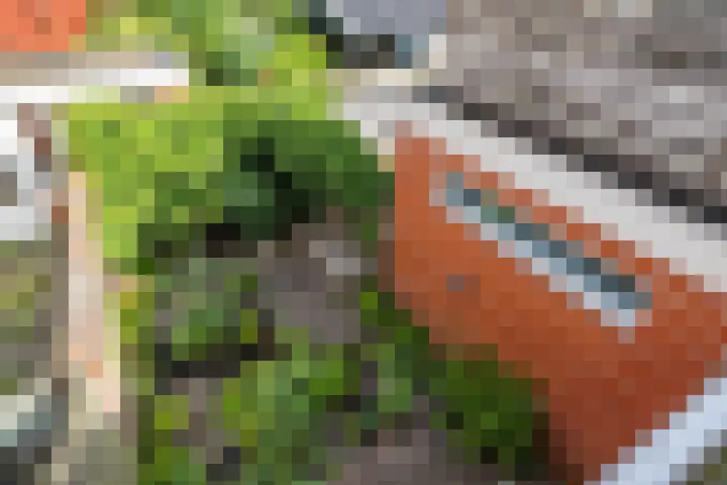 Rijskampenstraat 4 Groningen thumbnail 42