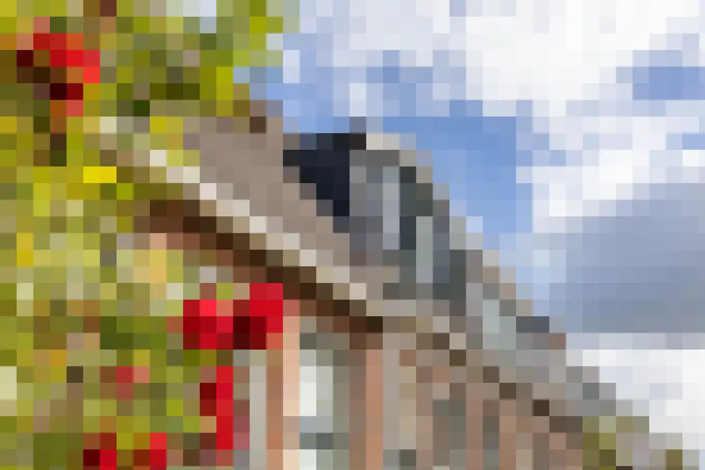 Rijskampenstraat 4 Groningen thumbnail 43
