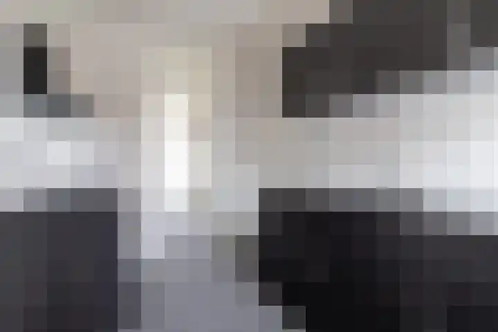 Rijskampstraat 20 Aduard thumbnail 18