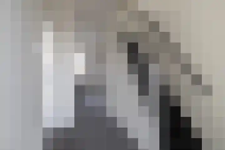 Rijskampstraat 20 Aduard thumbnail 20